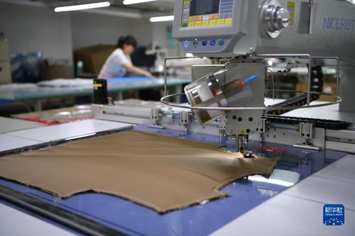 河北南宫 打造羊绒服装服饰产业集群助力经济发展